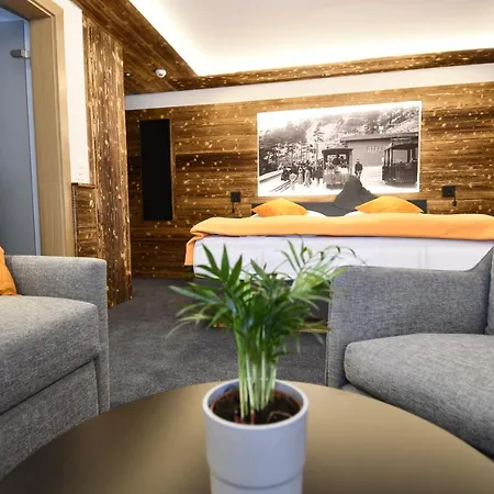 Elite ホテル ツェルマット